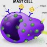Mast Cell Activation Syndrome Websites and Books