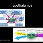 Can ME CFS and Fibromyalgia Research Help You Sleep? - YouTube